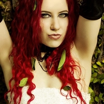 Miss FD – Disgrace