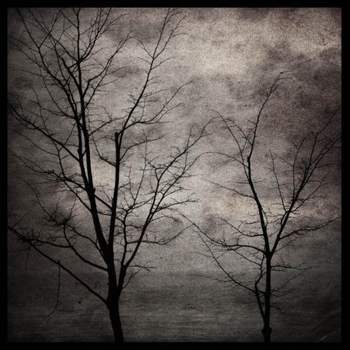 Mulm – Night Water Reflection
