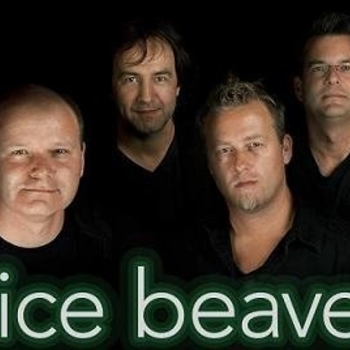 Nice Beaver – Oversight