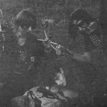 Nocticula