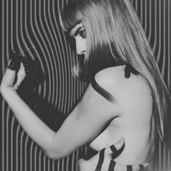 Owlle – Disorder (Moonlight version)