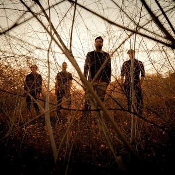 Palms – Push Off