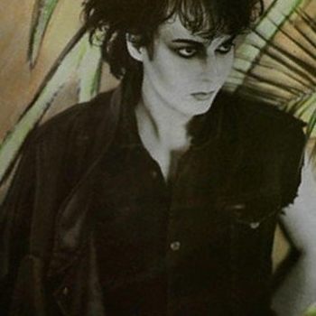 Panther Rex – High or Low