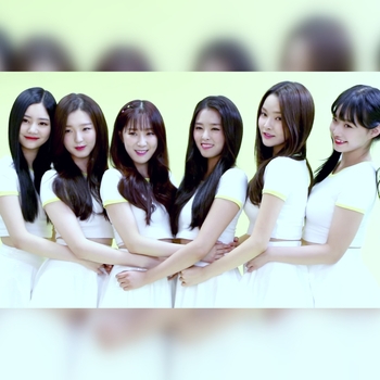 P.o.p (Puzzle of Pop)