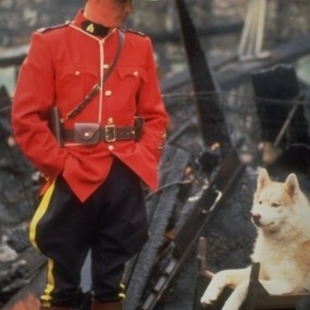 Paul Gross