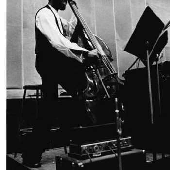 Richard Davis – Three Flowers