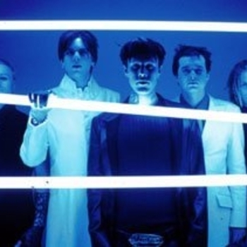 Videodrone – Ant in the Dope