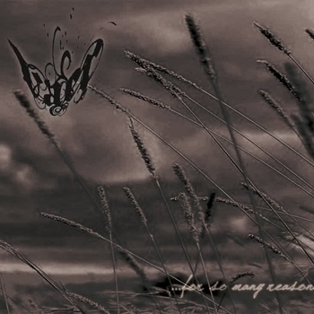Vaer – Disheartened