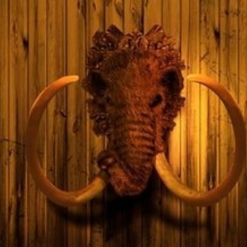 Woolymammoth – Mr. Brown