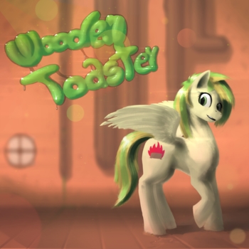 WoodenToaster – Rainbow Factory