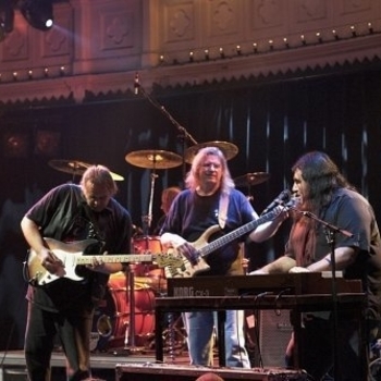 Walter Trout – Walkin' in the Rain