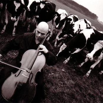 Wolfram Huschke – Cellaugh