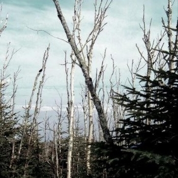 Wendess – Outro