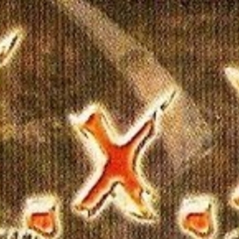 X.X.X. – Die Anderen