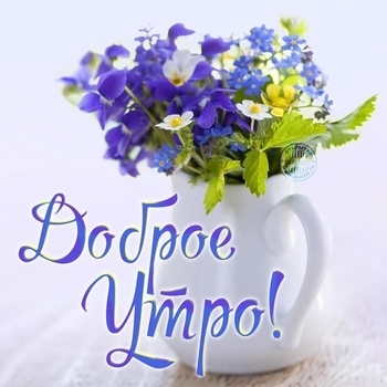 Termit – Доброе утро