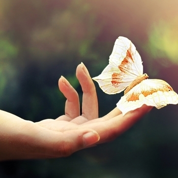 4REAL – Butterfly (2010)