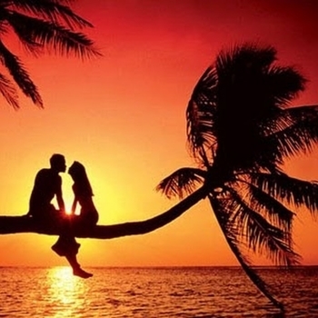 Sparky – I Feel Love (2014)