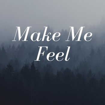 Larry Lehmann – Make Me Feel (2013)