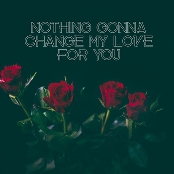 Nothing's Gonna Change My Love for You