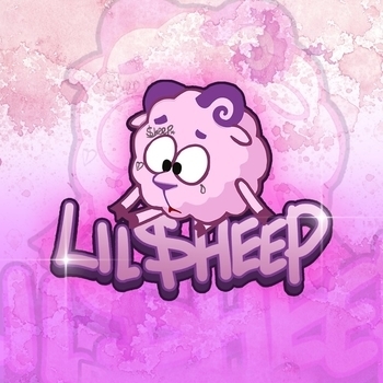 Lil Sheep – Cache