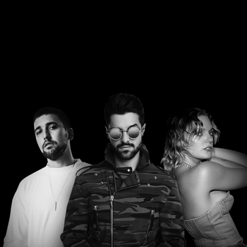 Alok feat Ilkay Sencan, Tove Lo – Don’t Say Goodbye (Single 2020)