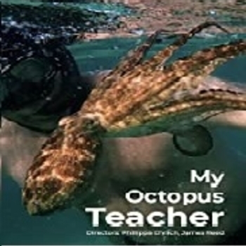 Matthew Dennis – Not Just A Visitor (Мелодия из фильма "Мой учитель-осьминог / My Octopus Teacher")