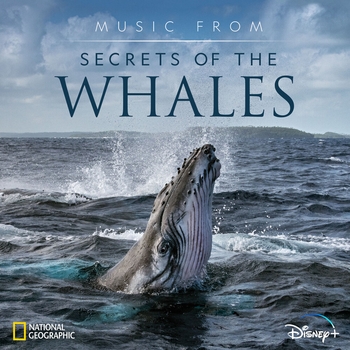 Raphaelle Thibaut – Africa (Саундтрек из сериала "Тайны китов / Secrets of the Whales")