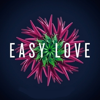 Dj hits – Easy Love