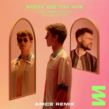 Calum Scott feat Lost Frequencies – Where Are You Now (Kamran747 Remix) (2021)