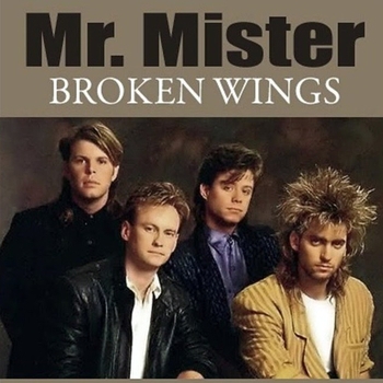 Timmy.V. – Broken Wings (Cover)
