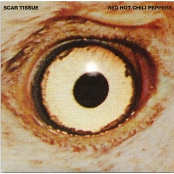Ukulele – Scar Tissue (Cover)