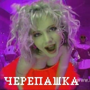 Sen-Sei – Черепашка (Cover)