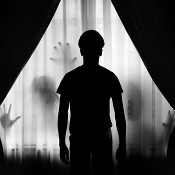 Delight – In The Shadows (Cover)