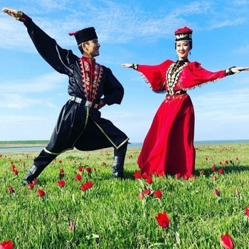 Калмыцкие