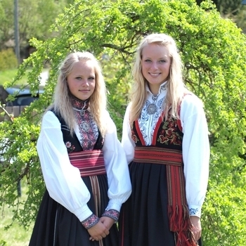 Vesala – Aurinko