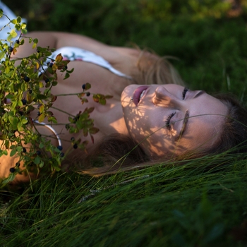 Brainsage – Night Forest
