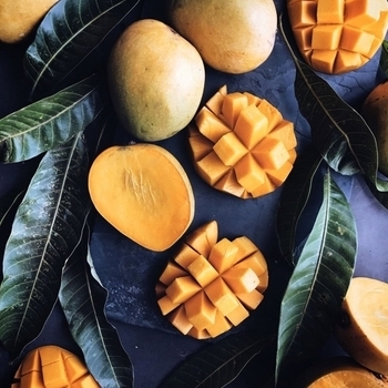 The Colonel – Mango (Checan Remix)