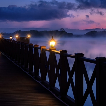 From305 – Wonderful Tonight