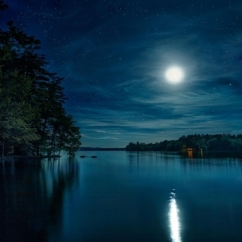 Steve Young – Beautiful Tonight
