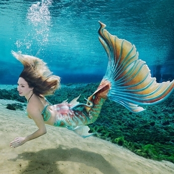 Ceol – The Mermaid