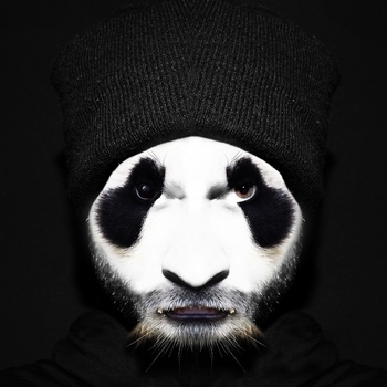 Pat Panda