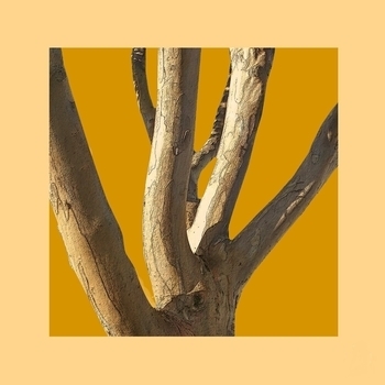 David Lanz – Before The Last Leaf Falls