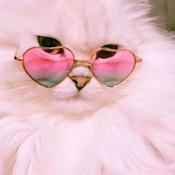 Chromatics – Girls Just Wanna Have Some (ОСТ из "Девичьи секреты / Baby")