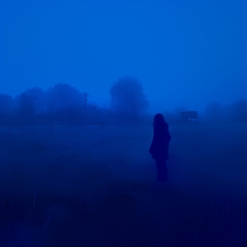 Zerareum – on the way home