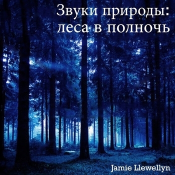 Andreas – Magickal Nights: магические ночи (Bonus Track)