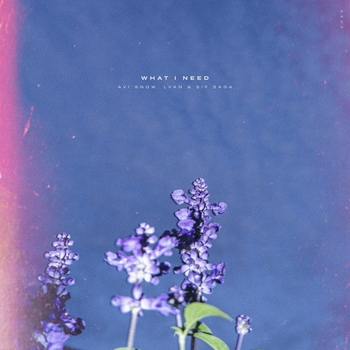 Avi Snow – Just Let Go