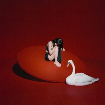 The Maras – All I Really Want Is You