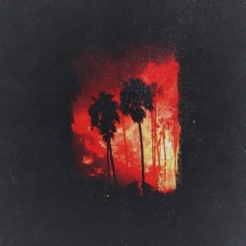 Aiwake – Palm City