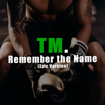 TM. – Mortal Combat Theme Remix