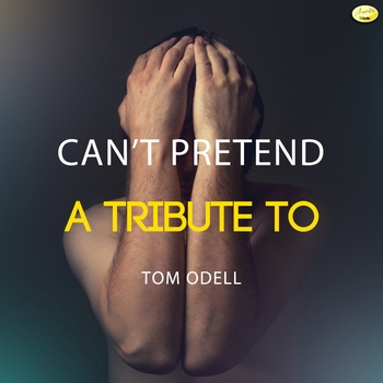 Ameritz - Tributes – Mr. Tambourine Man